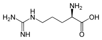 Structure de la D-Arginine